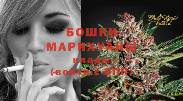 МДПВ Навашино