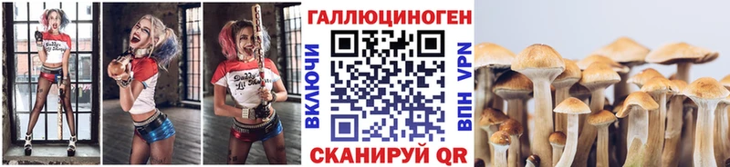 Псилоцибиновые грибы мицелий  Малгобек 