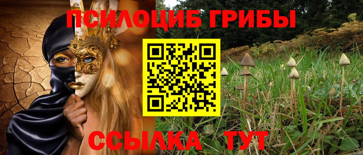 Псилоцибиновые грибы прущие грибы  Псилоцибиновые грибы Magic Shrooms  Вход с VPN  Малгобек 