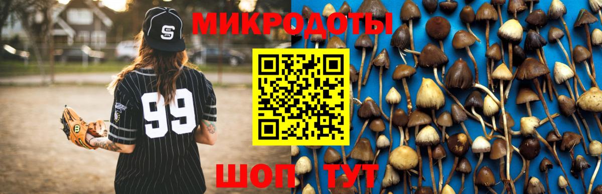 Псилоцибиновые грибы Magic Shrooms Малгобек