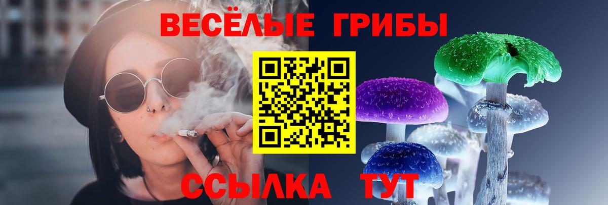 Псилоцибиновые грибы MAGIC MUSHROOMS  Малгобек  Псилоцибиновые грибы мицелий 